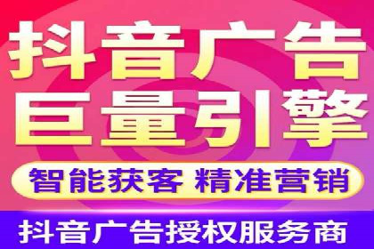 竞价广告策略案例分析